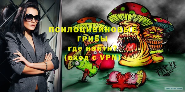 стаф Зеленокумск