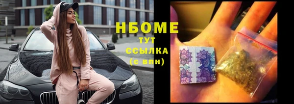 стаф Зеленокумск