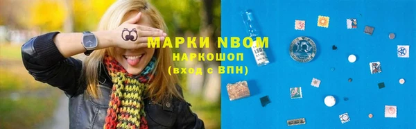 стаф Зеленокумск