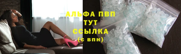 стаф Зеленокумск