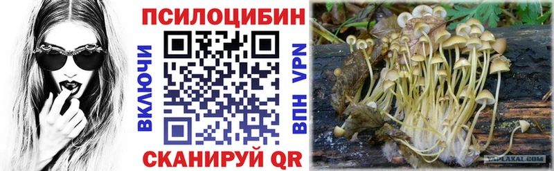 Псилоцибиновые грибы мухоморы  закладка  Снежинск 